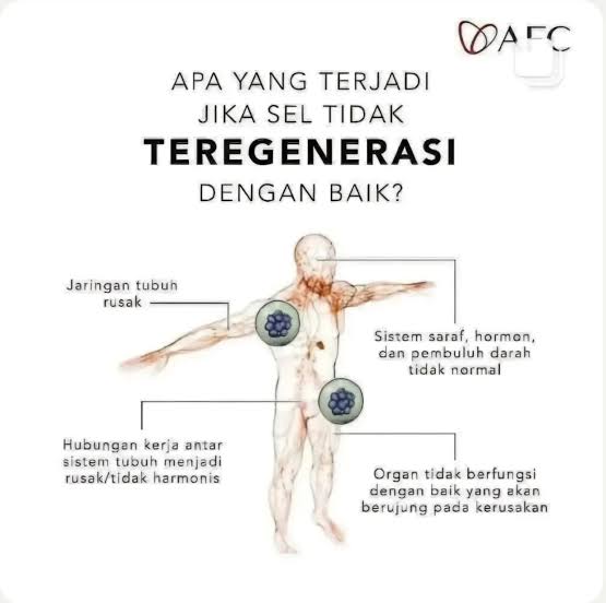 dampak penyakit degeneratif karena sel tubuh tidak teregenerasi dengan optimal