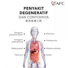 penyakit degeneratif di usia produktif Indonesia